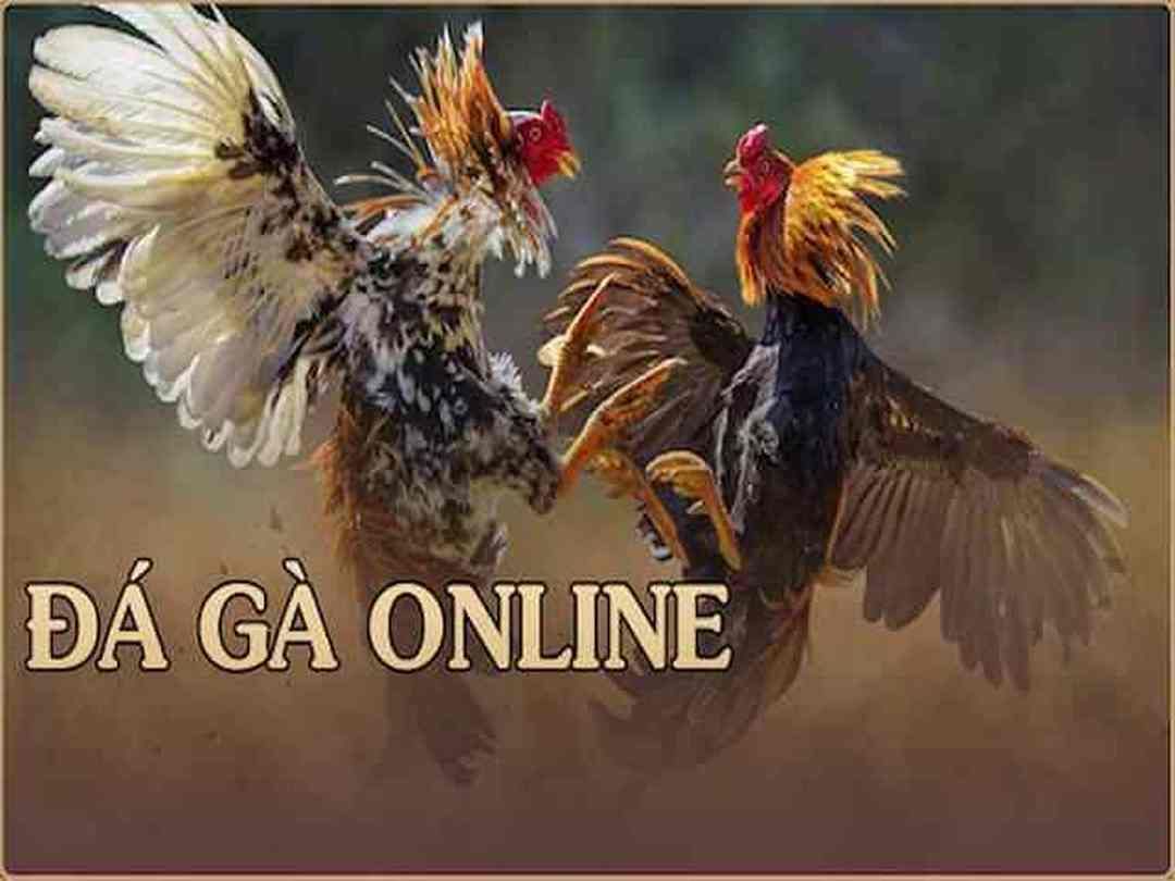 Đá gà online tại Lode88 2